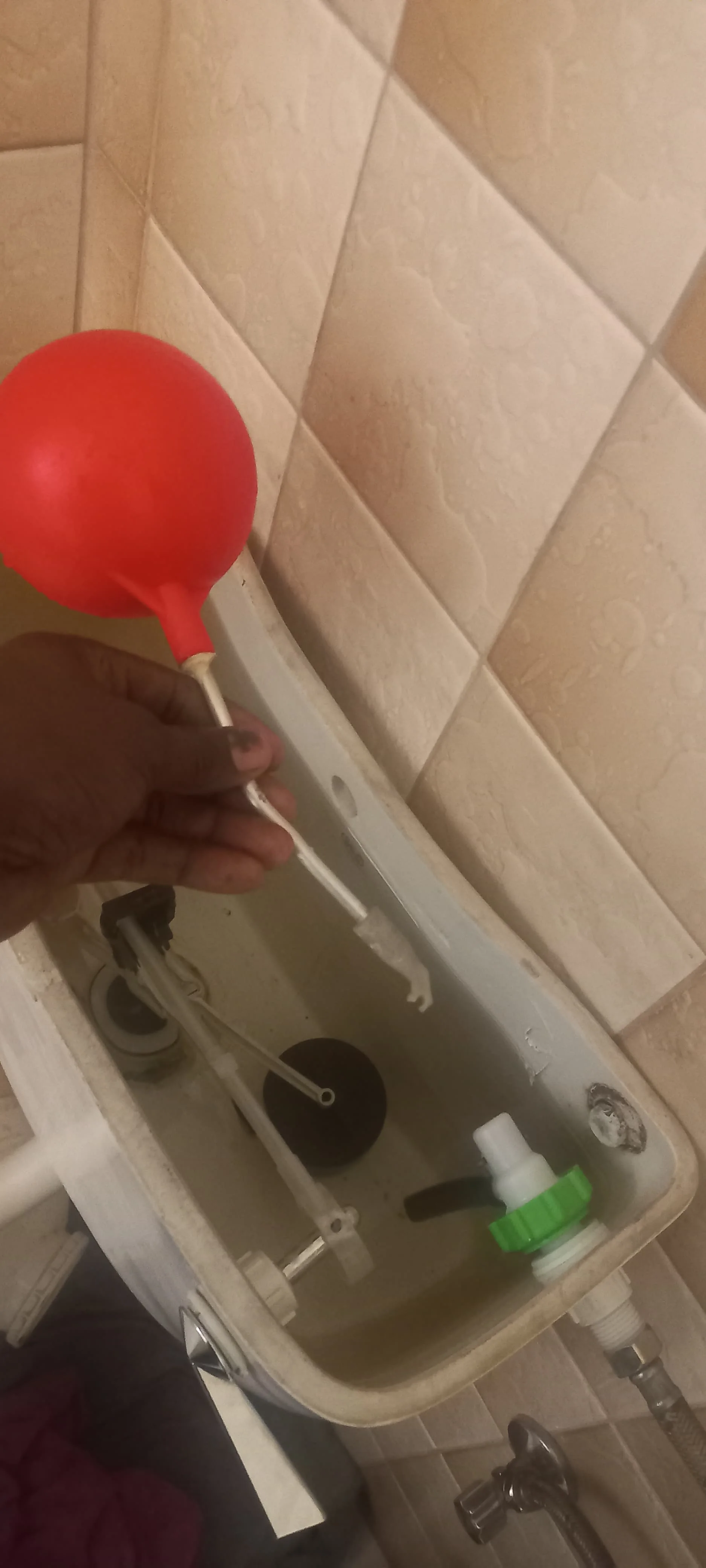 Germiston leaking toilet repair — professional plumbing