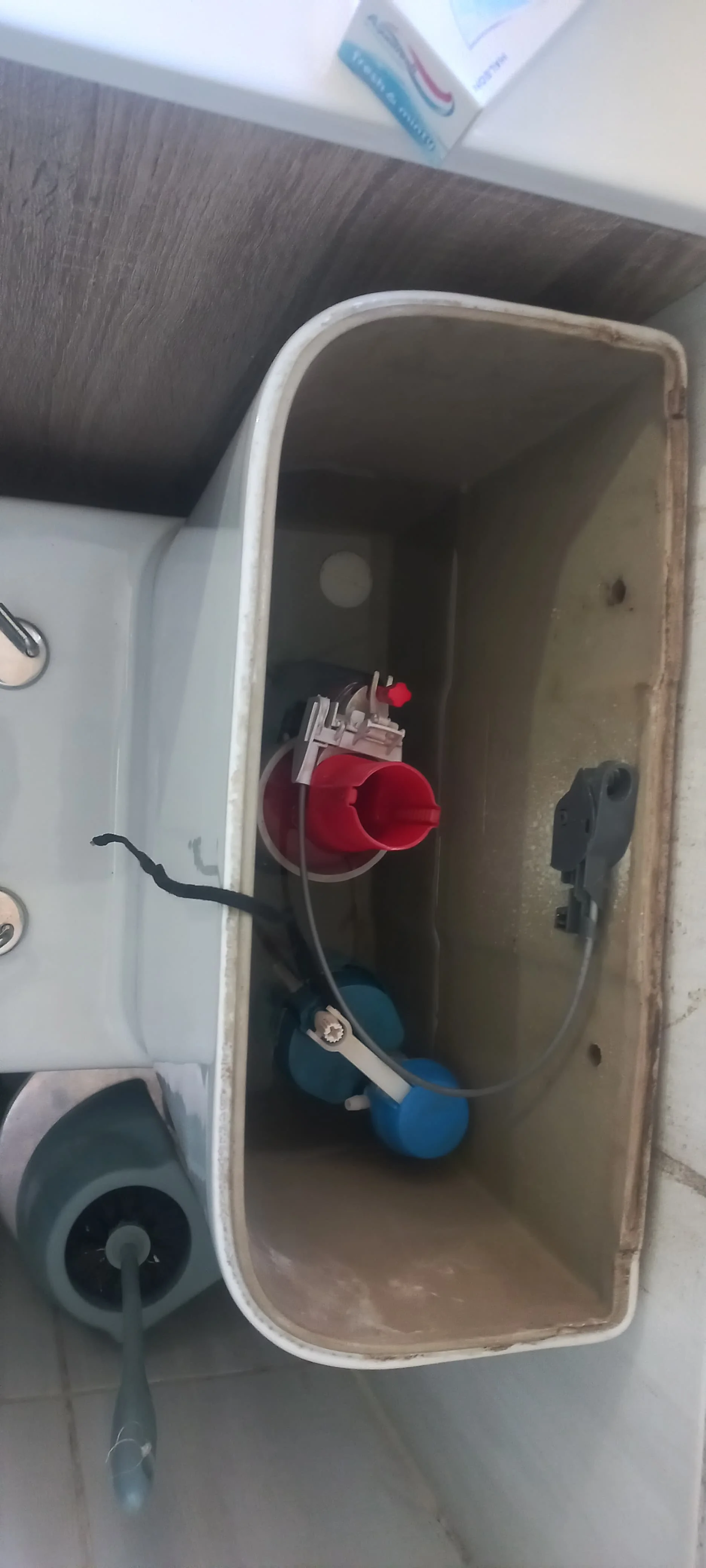 Glenstantia leaking toilet repair — professional plumbing