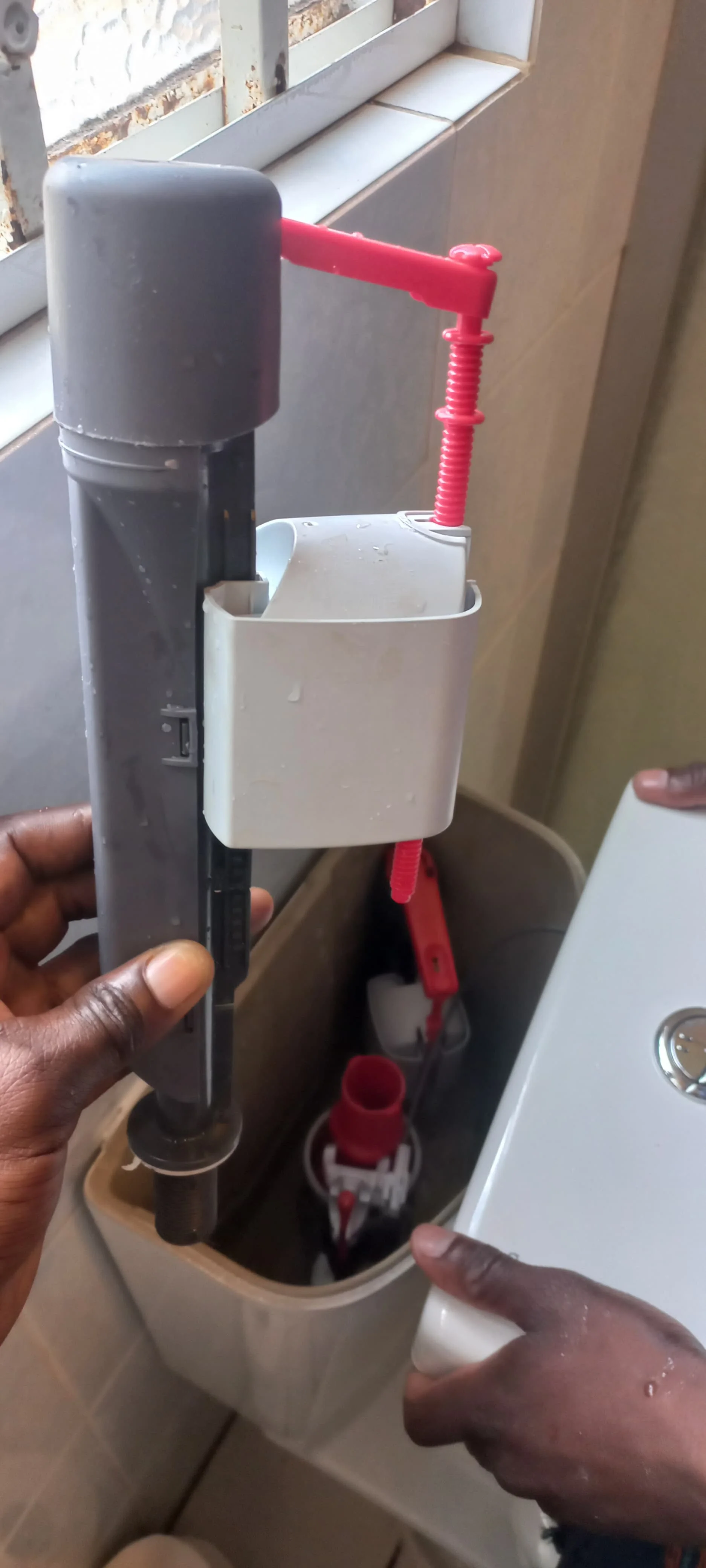 Professional leaking toilet work in Heather Bell