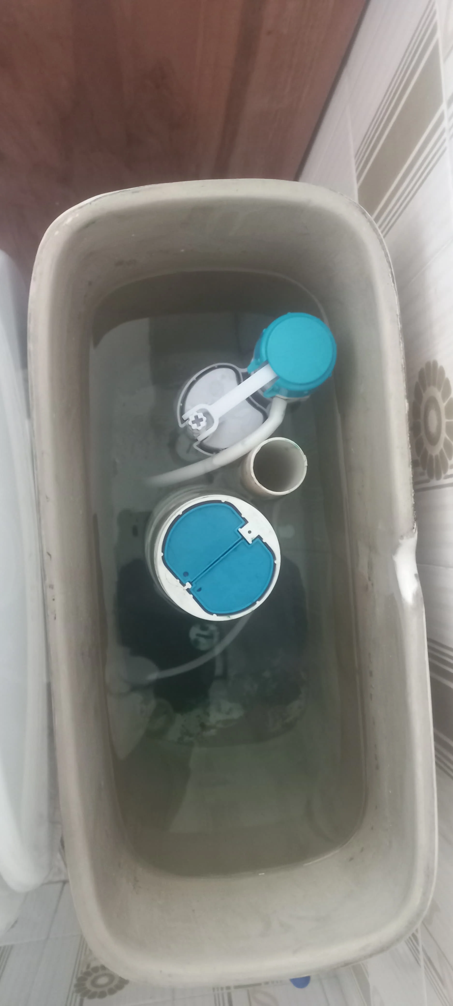 Local leaking toilet repair — professional plumbing