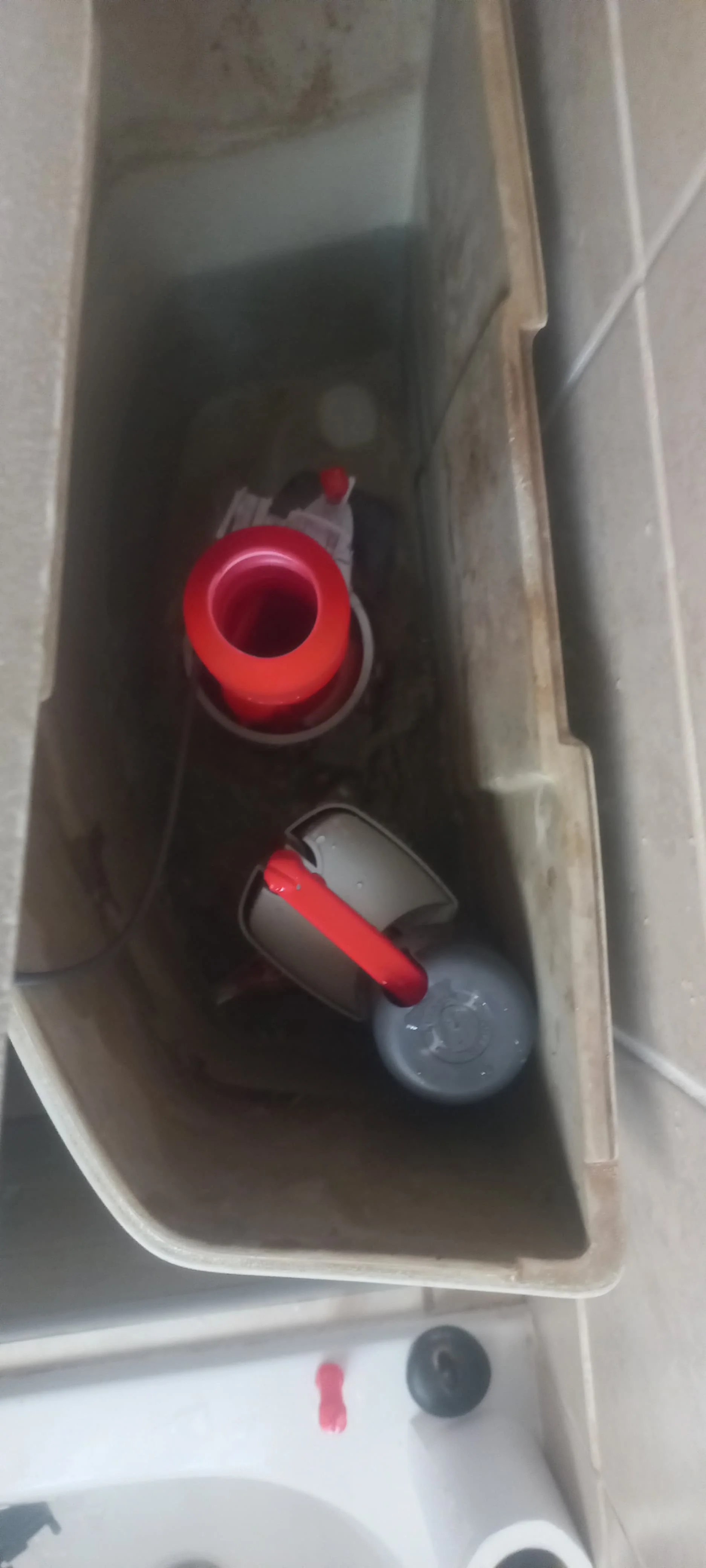 Local leaking toilet repair — professional plumbing