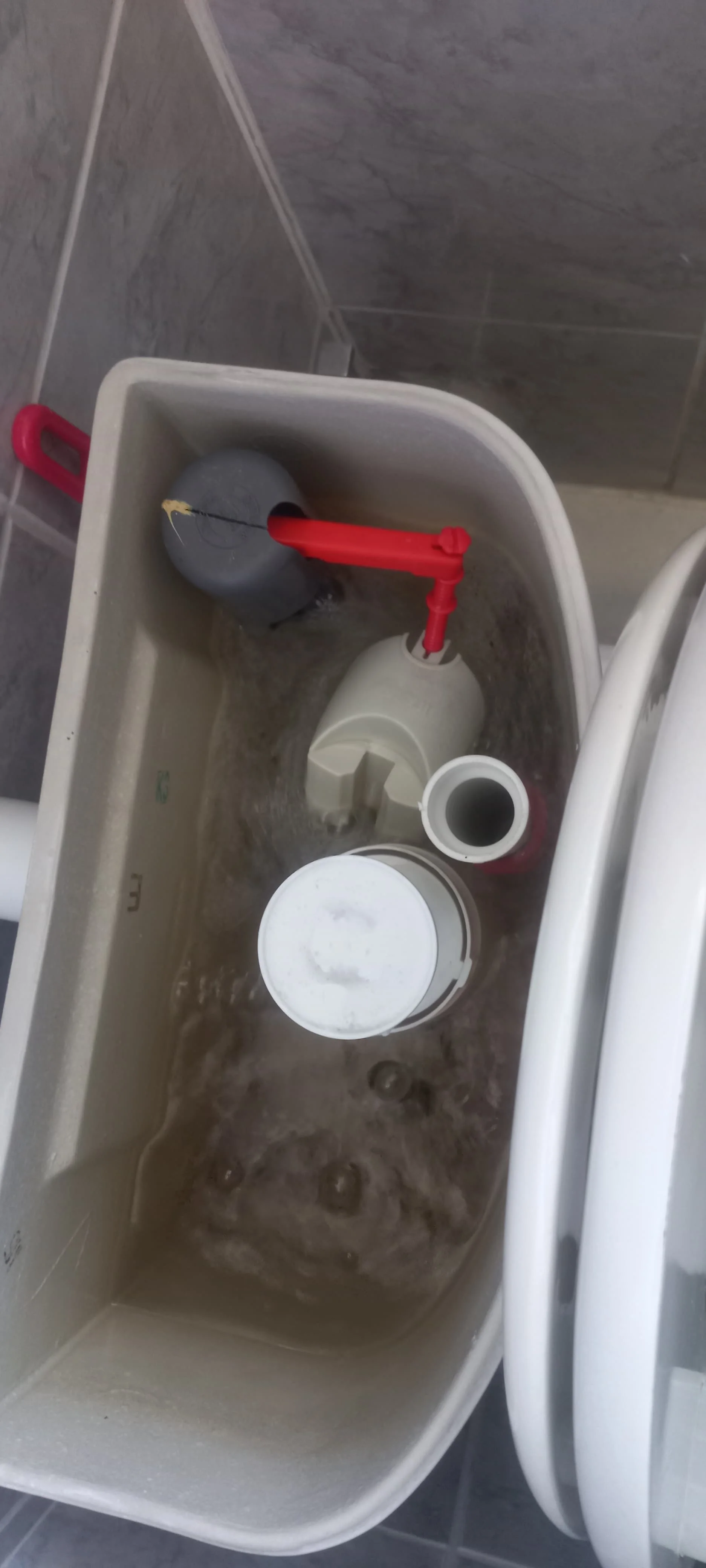 Professional leaking toilet work 