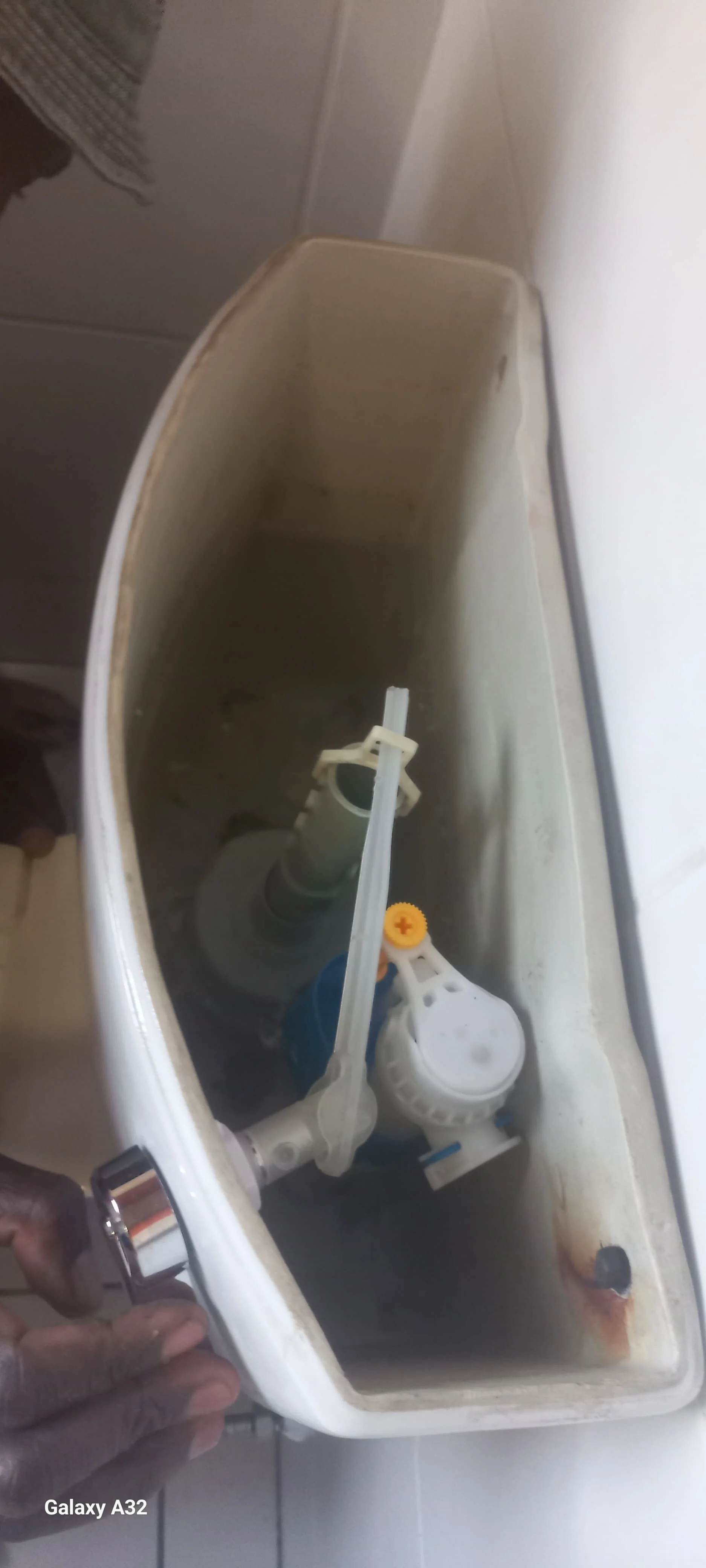 Leaking Toilet Repair in Kensington