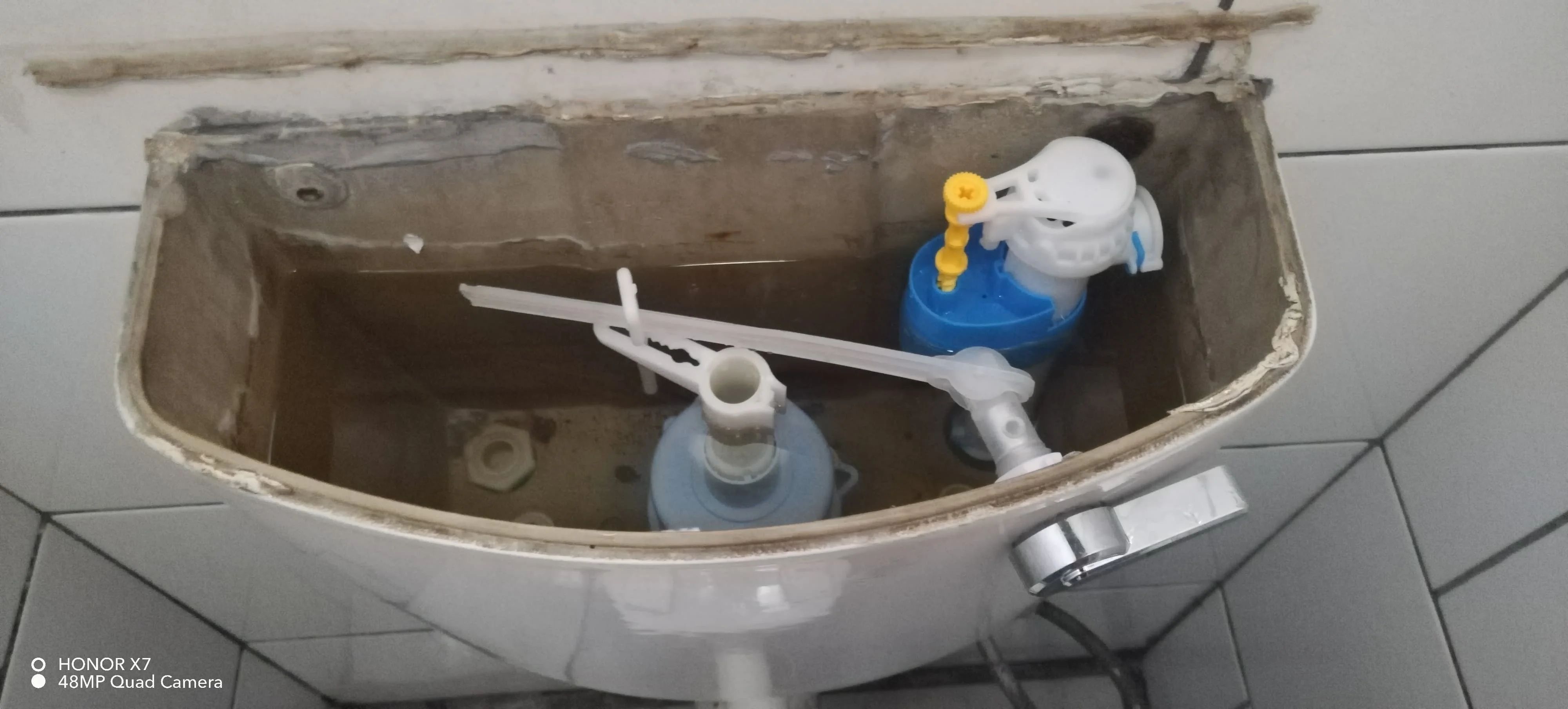 Professional leaking toilet work in Laudium