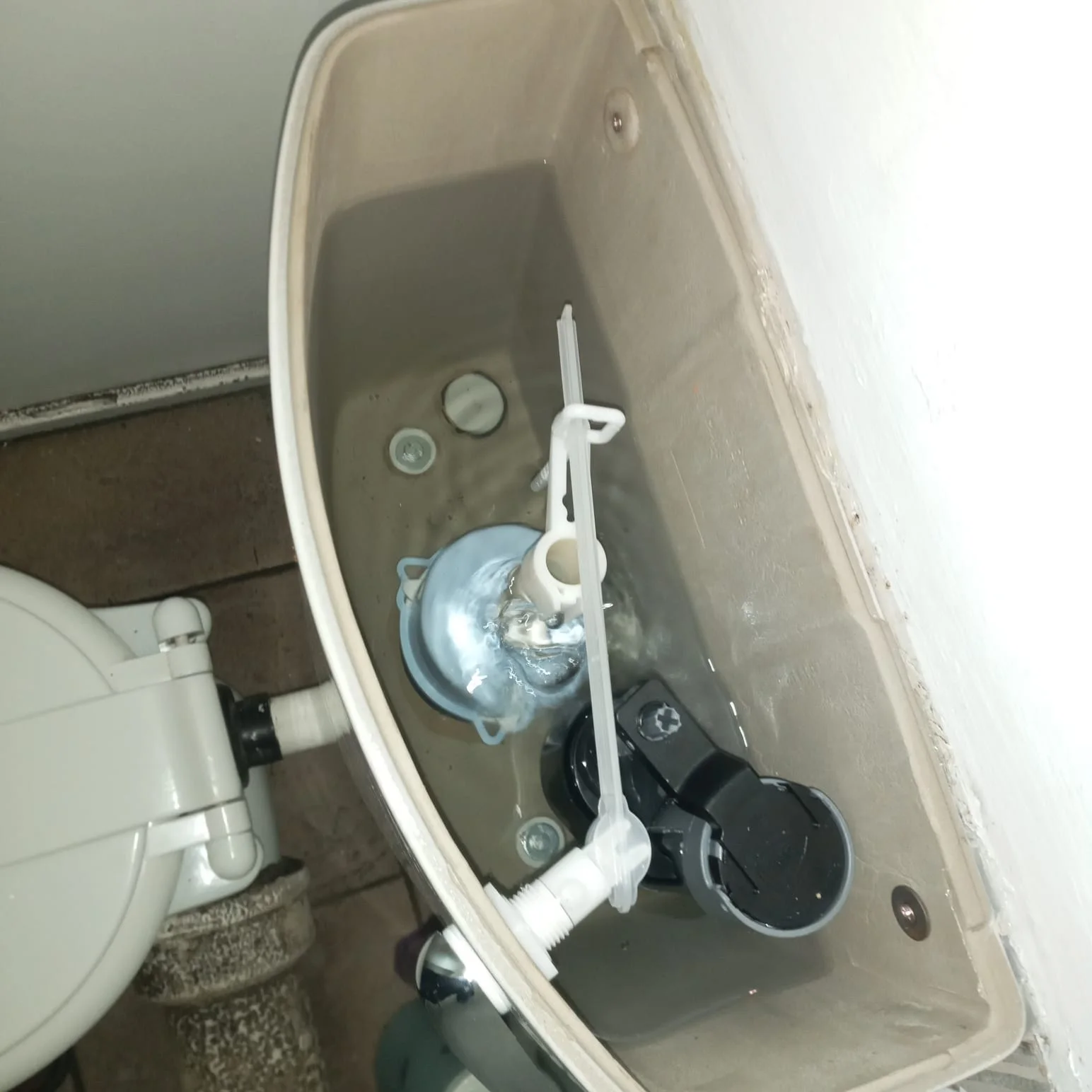 Lombardy east blocked toilet cleaning service