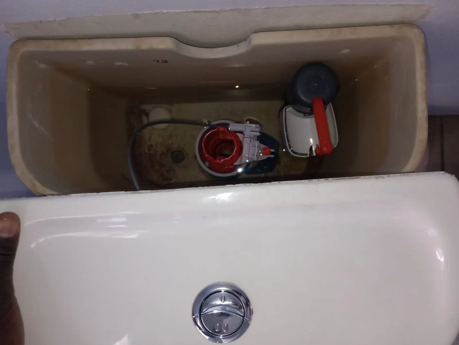 Leaking Toilet Repair in Lynnwood