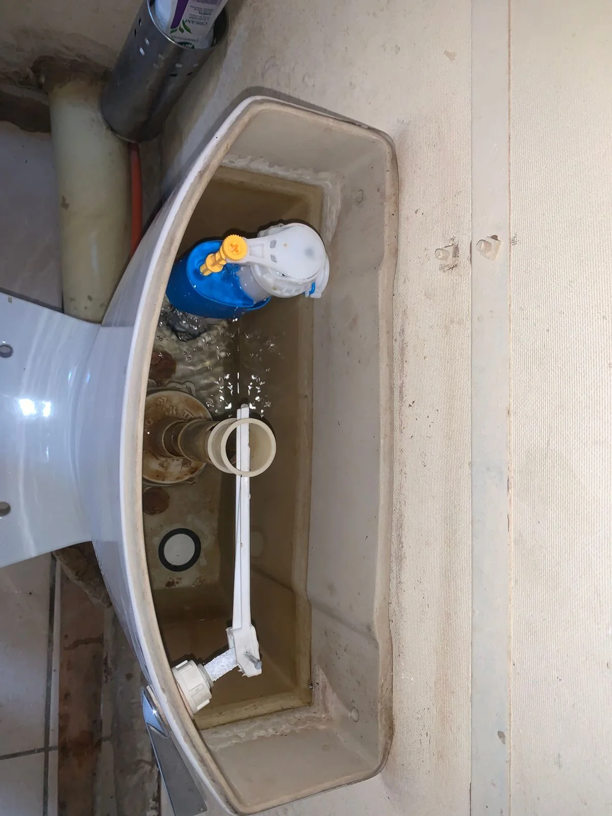Professional leaking toilet work 