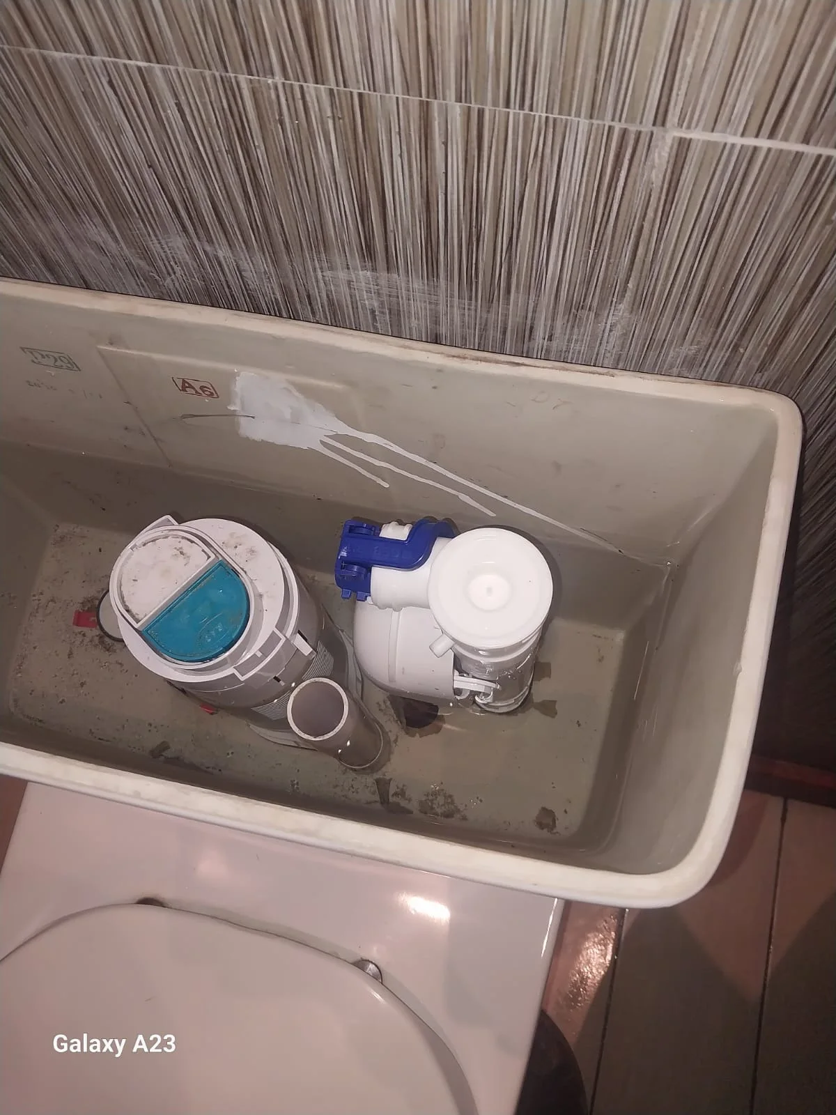 Professional leaking toilet work in Malvern