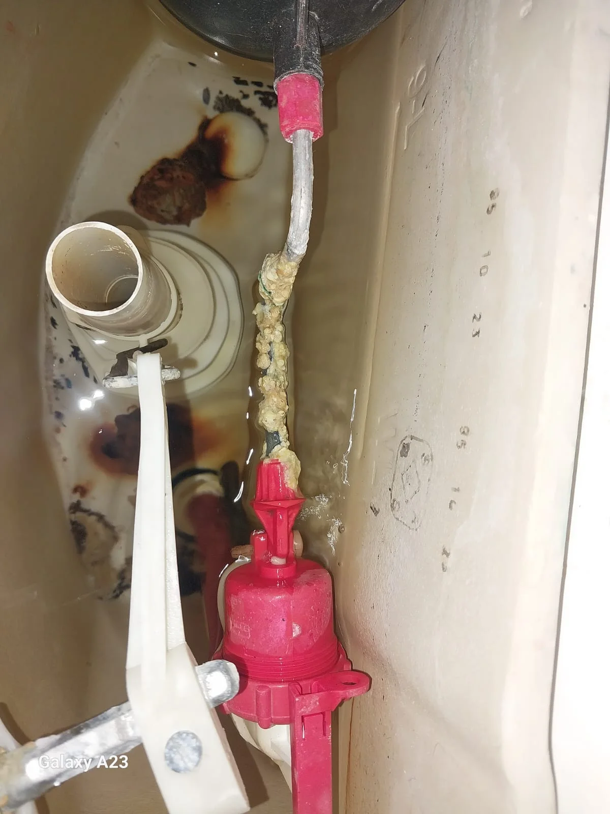 Professional leaking toilet work in Marlboro