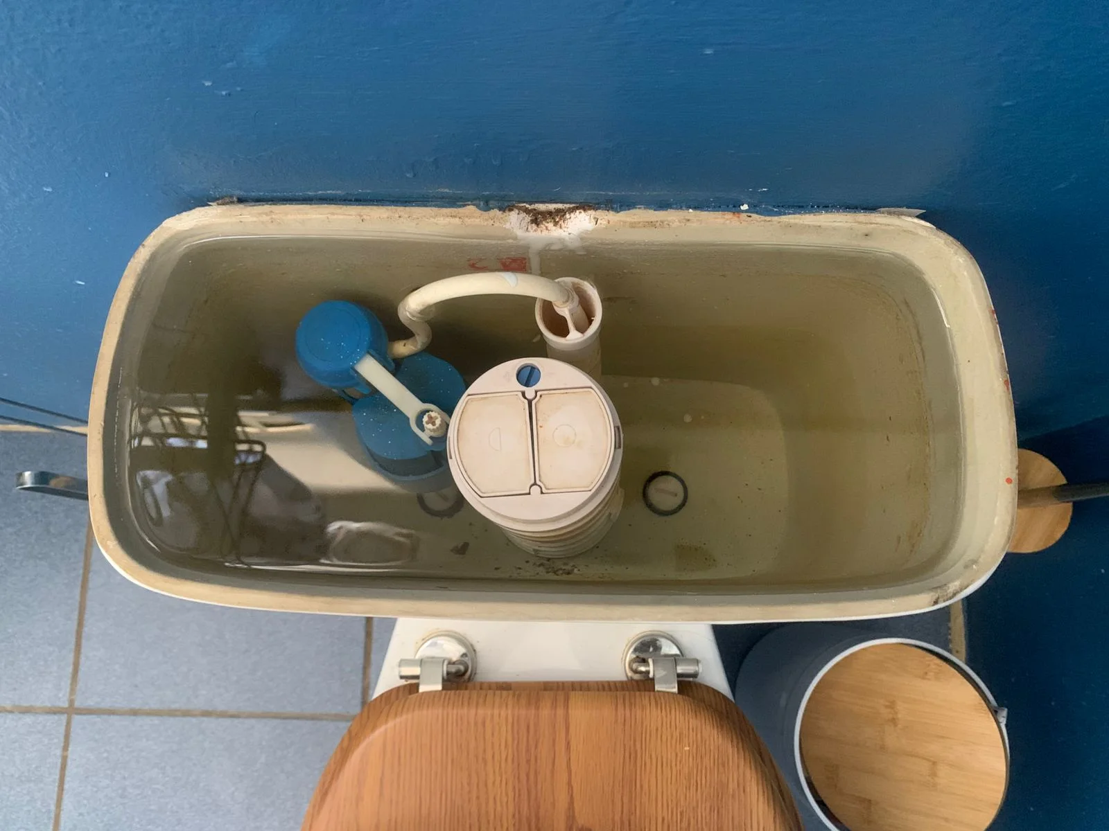 Professional leaking toilet work in Marshalltown