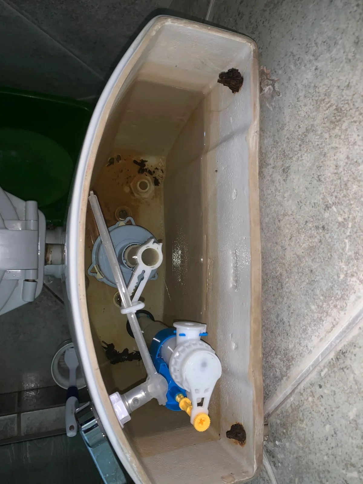 Professional leaking toilet work in Martindale