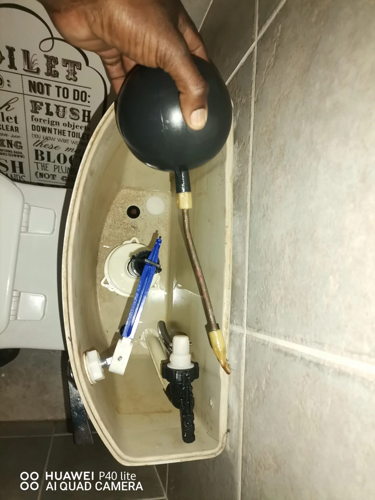 Leaking Toilet Repair in Melville