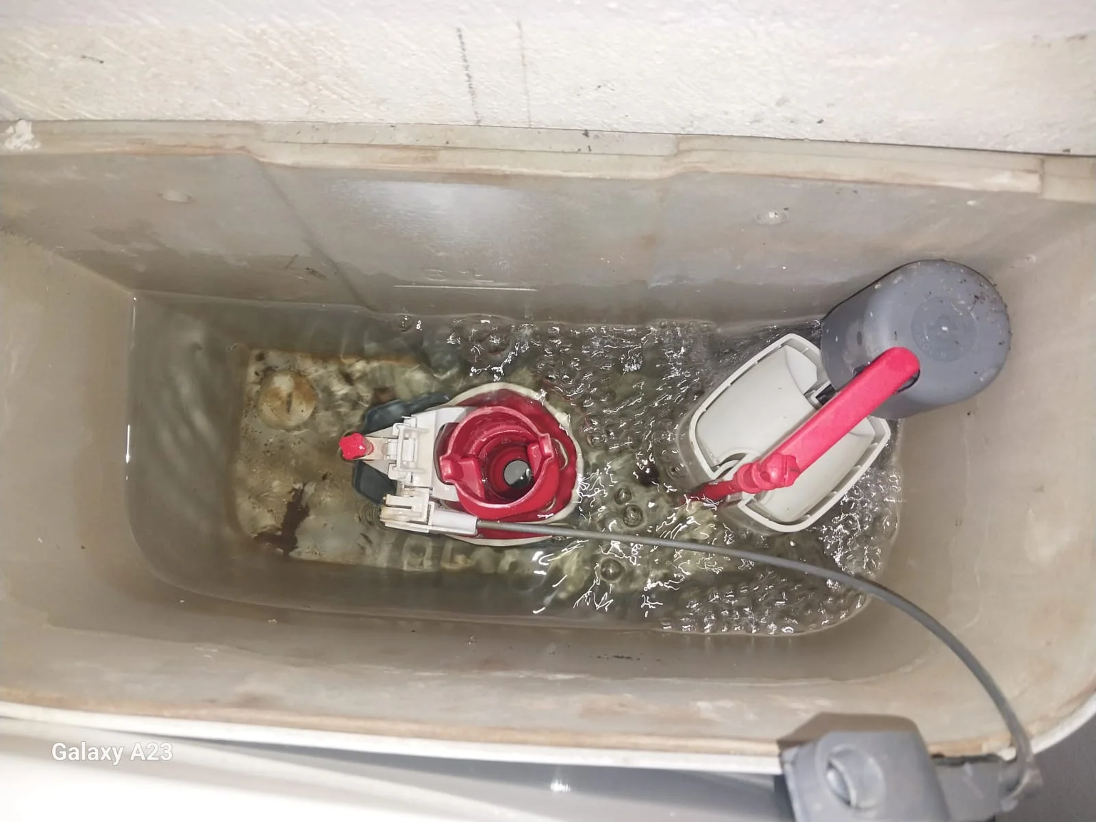 Menlyn leaking toilet repair — professional plumbing