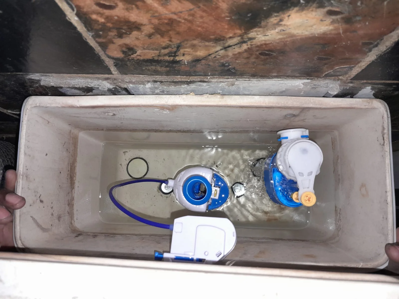 Meyerspark leaking toilet repair — professional plumbing