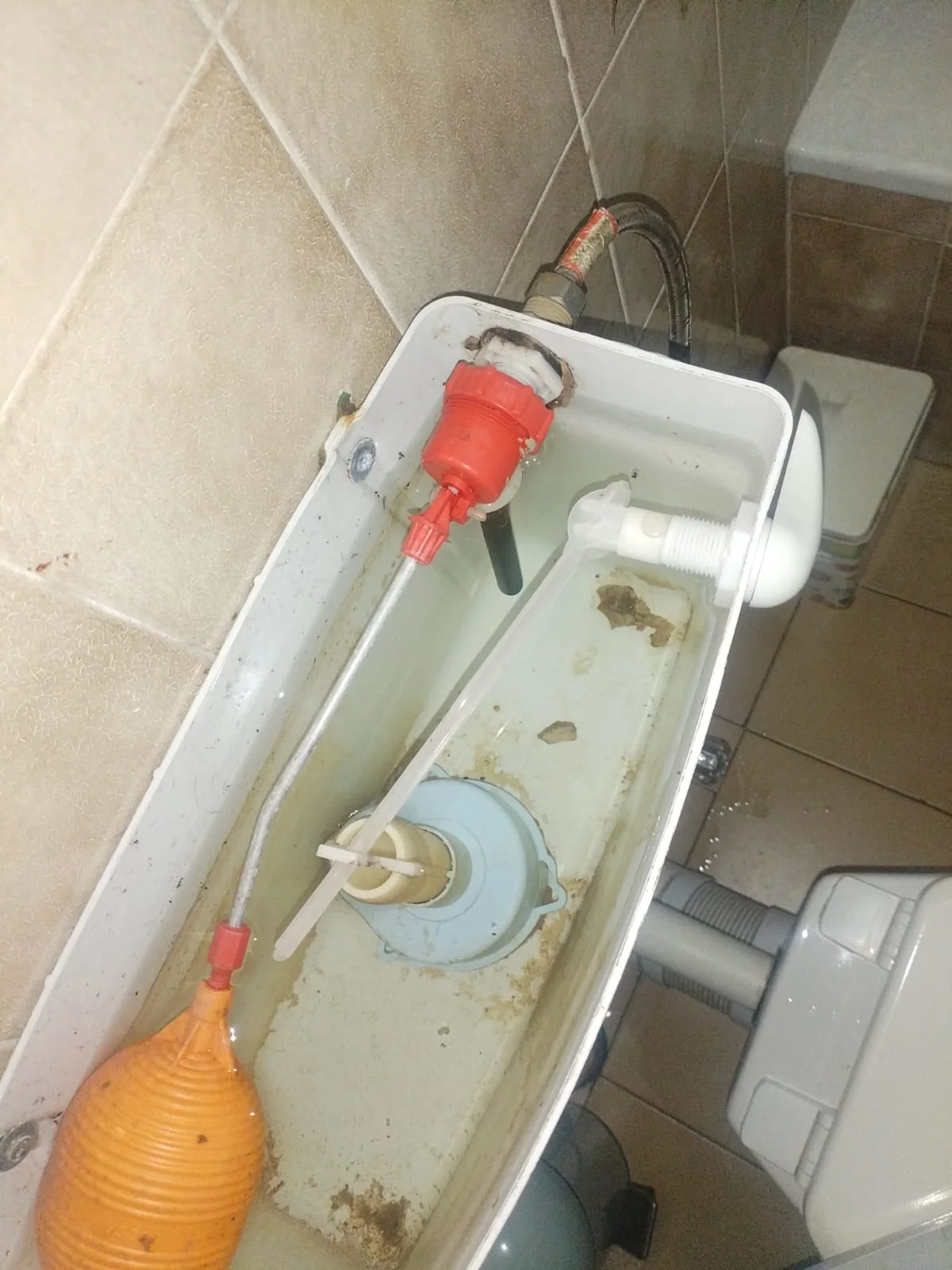 Leaking Toilet Repair 