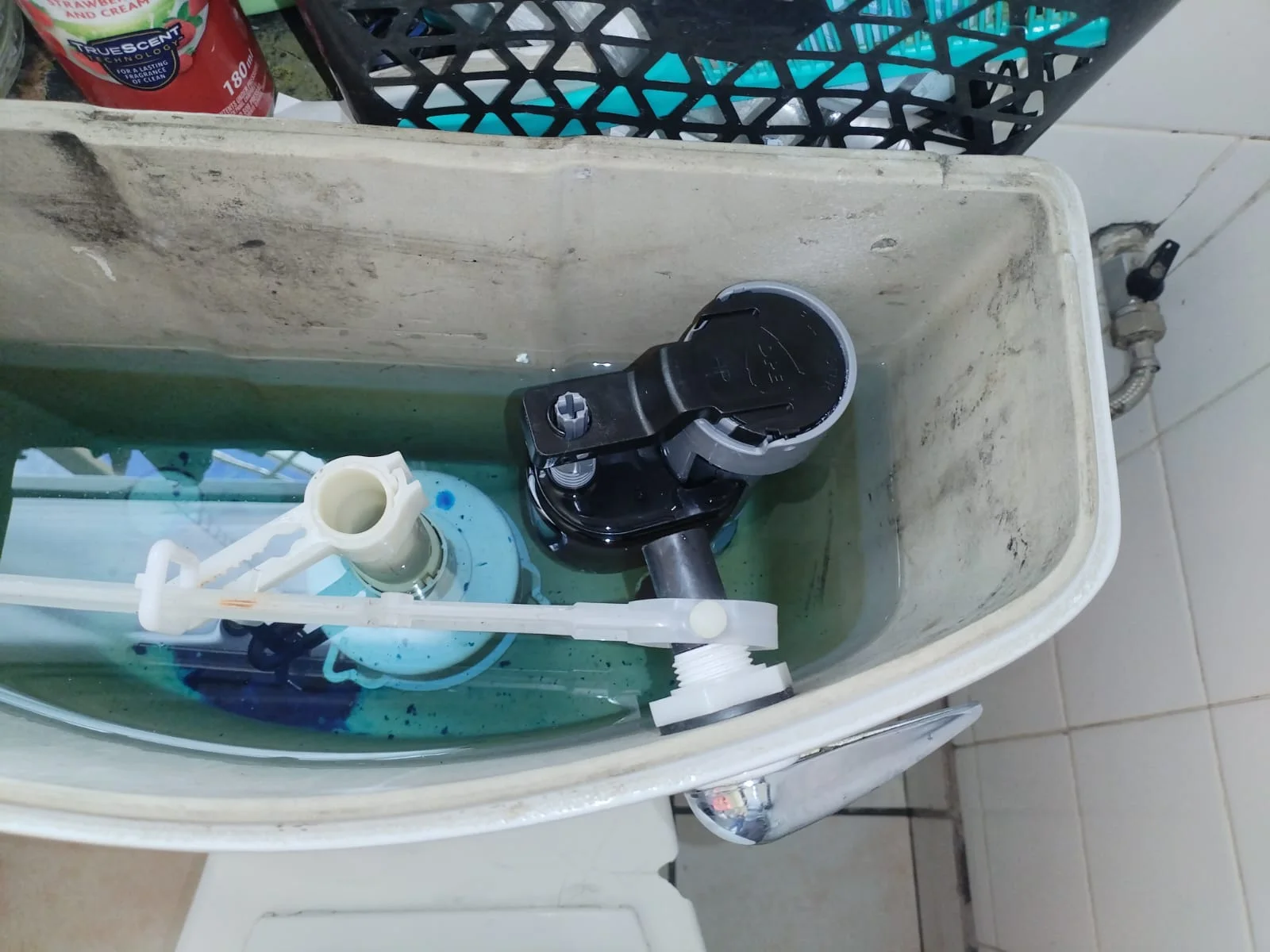 Montana Park leaking toilet repair — professional plumbing