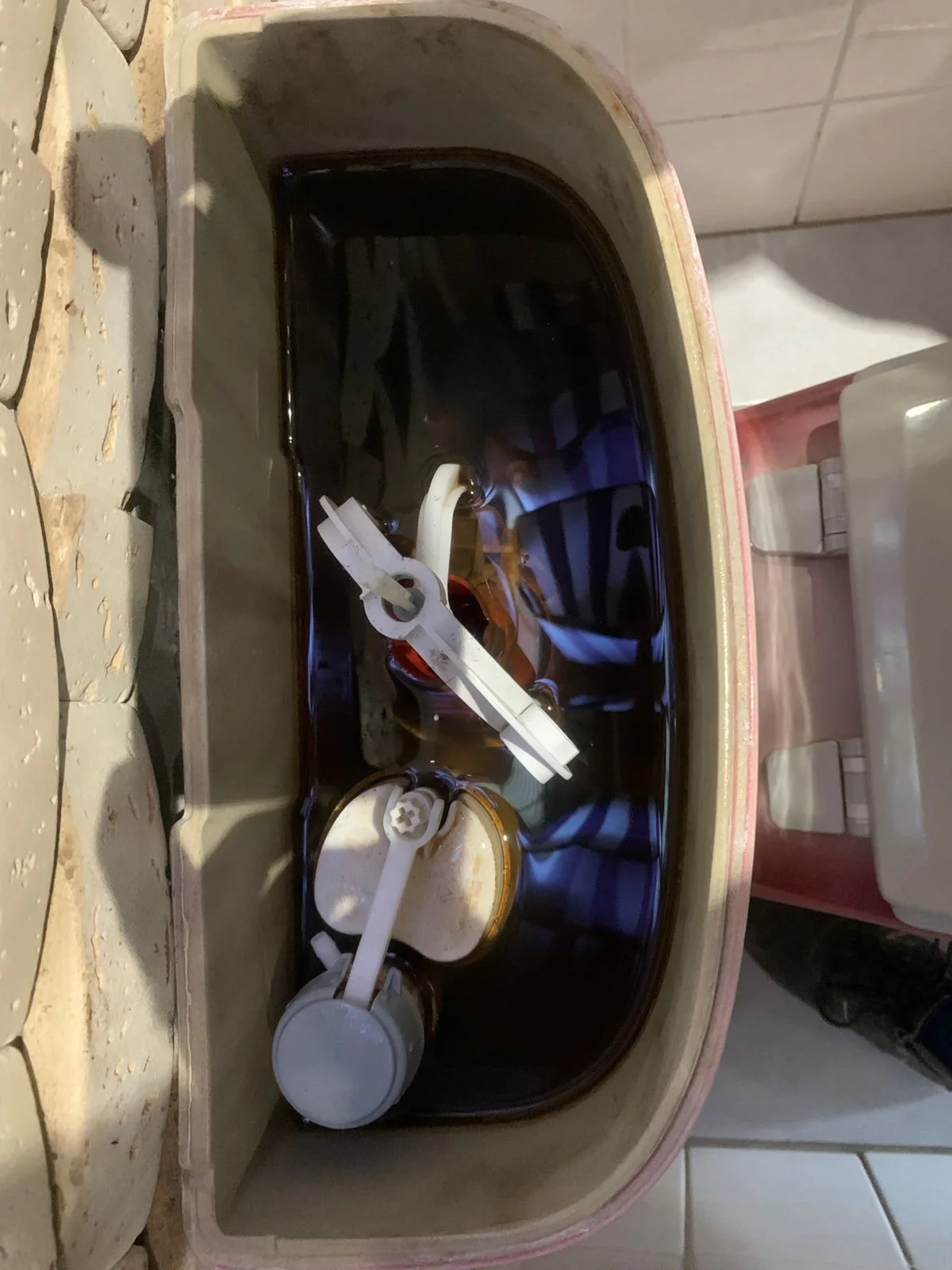 Moot leaking toilet repair — professional plumbing