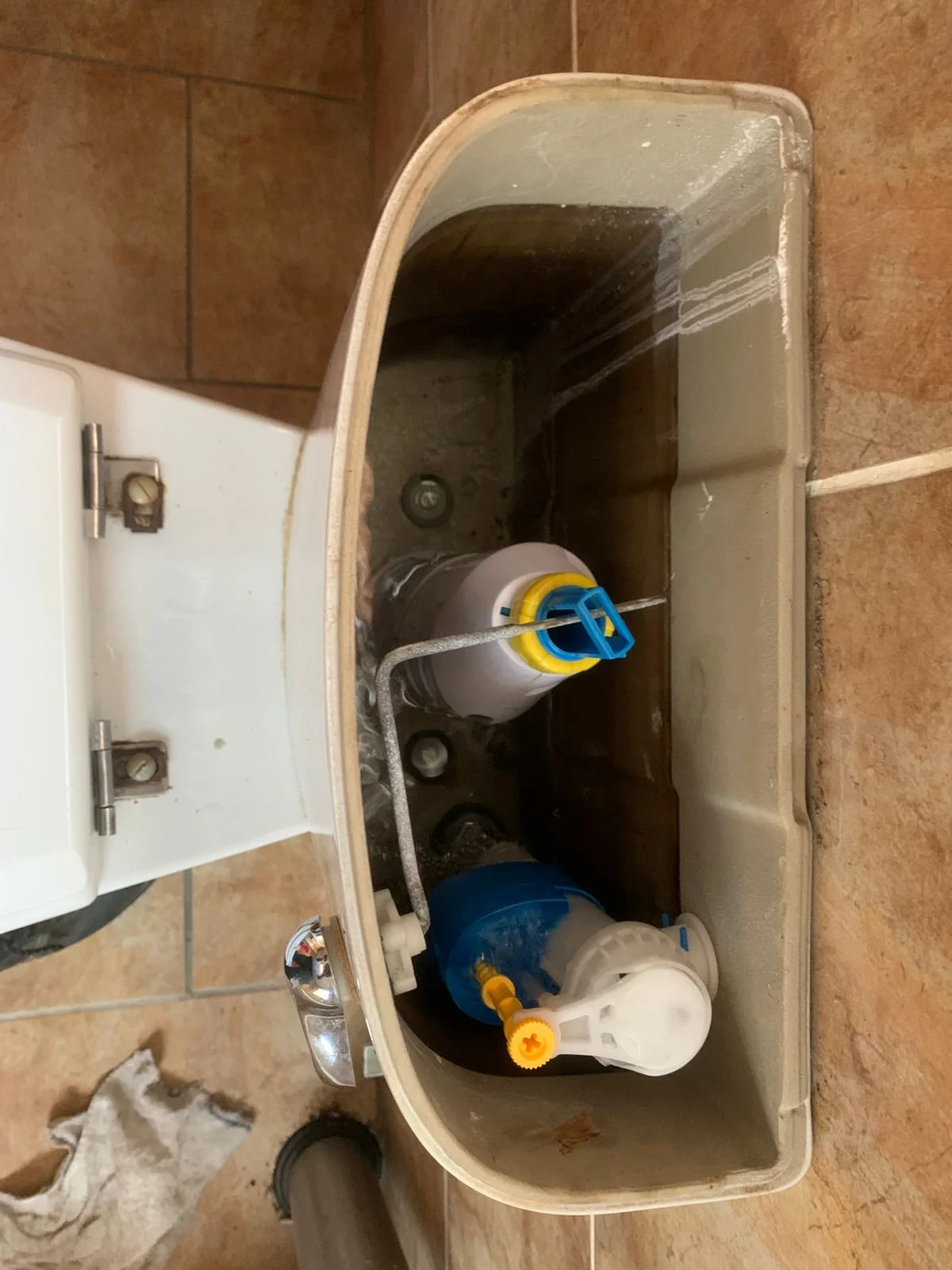 Leaking Toilet Repair in Morningside