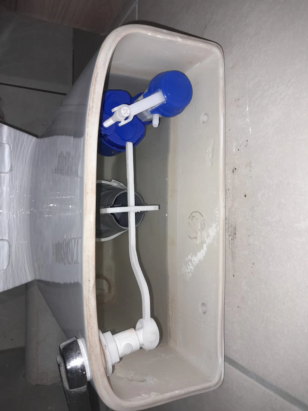 Leaking Toilet Repair in Newlands