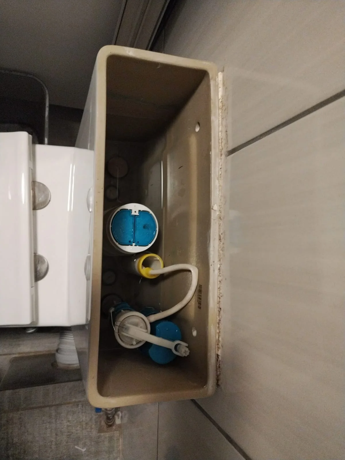 Toilet leak repaired in Pretoria Central