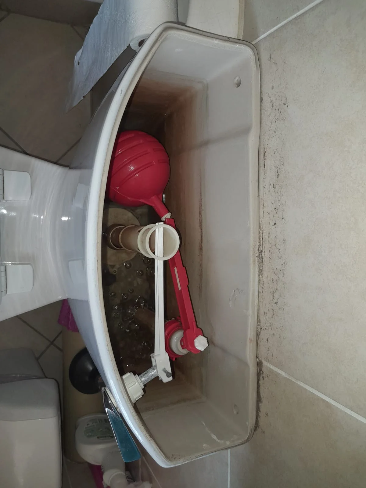 Professional leaking toilet work 