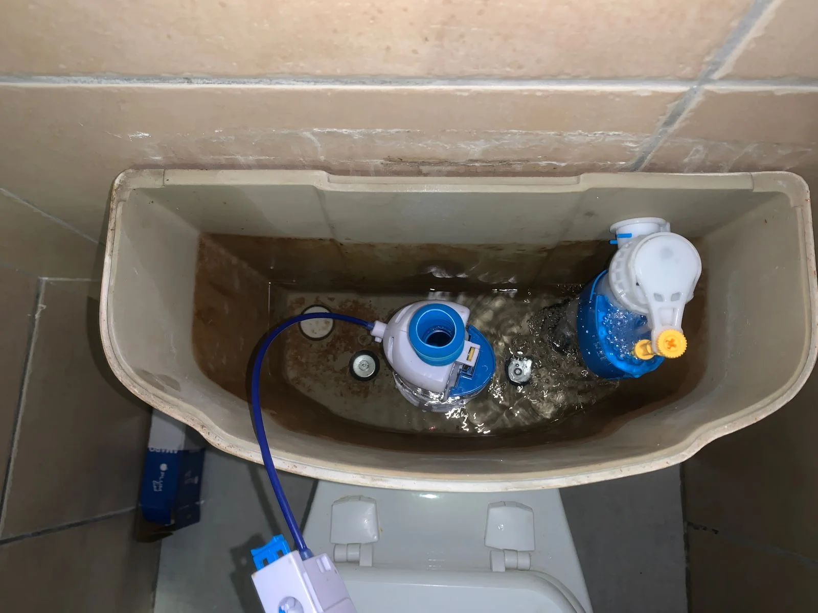 Leaking Toilet Repair in Primrose