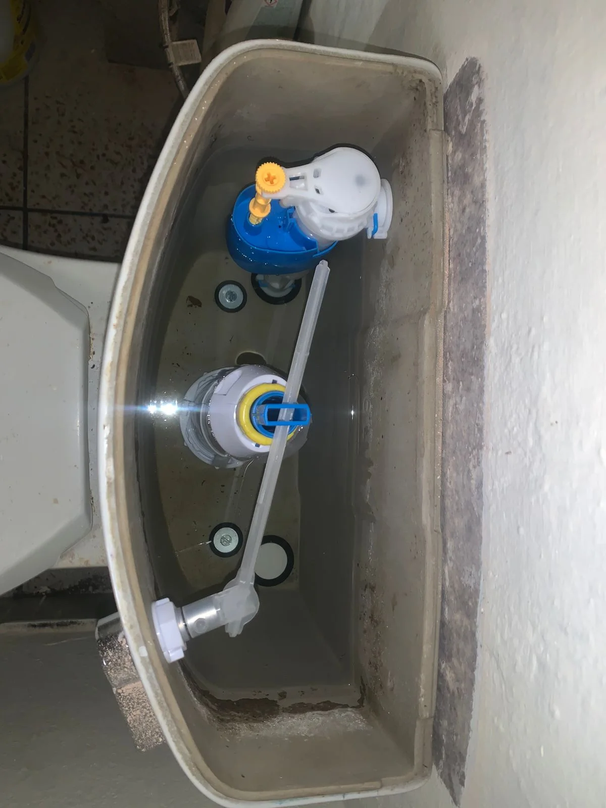 Queenswood leaking toilet repair — professional plumbing