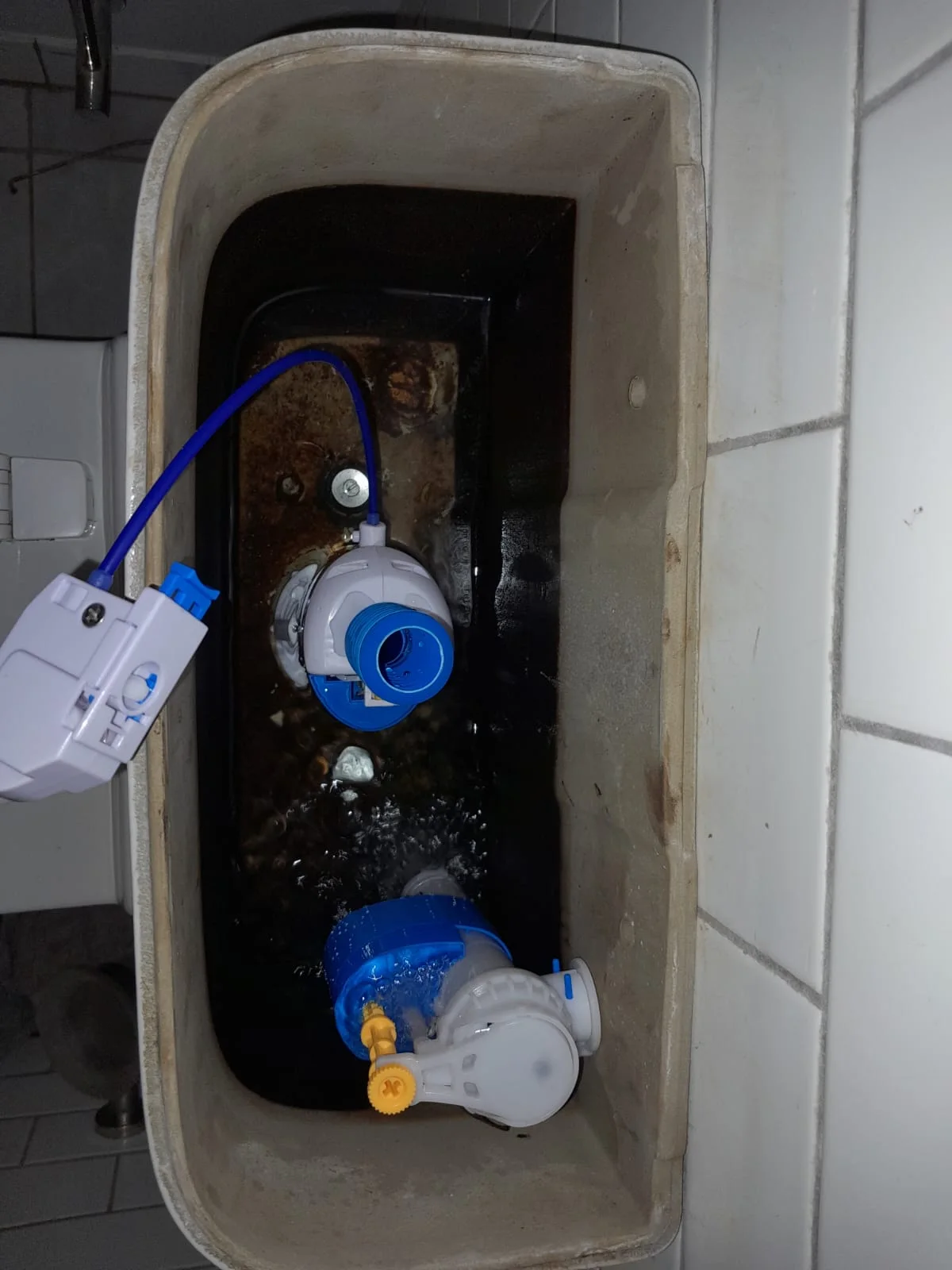 Leaking Toilet Repair in Randfontein South