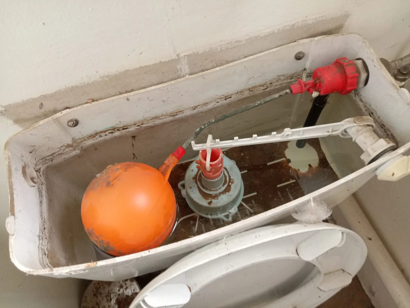 Robertsham leaking toilet repair — professional plumbing