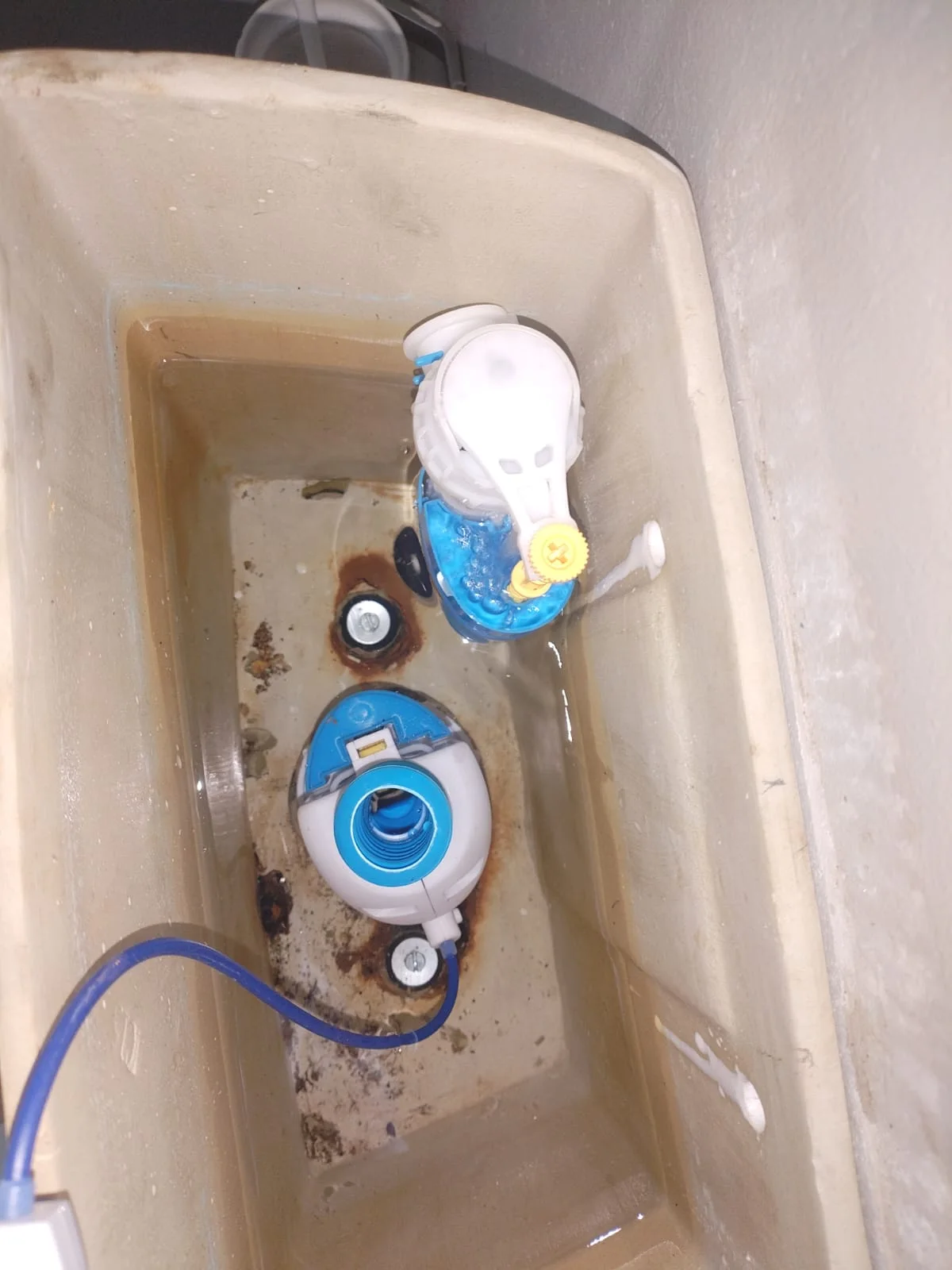 Flush mechanism repair roodekrans