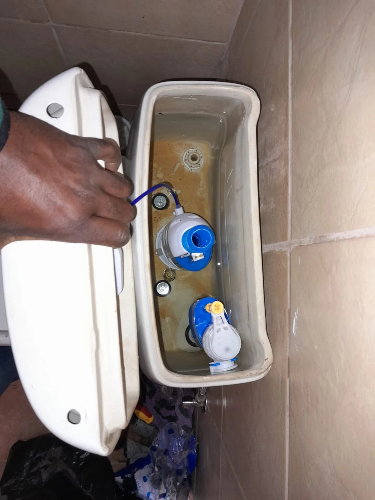 Local leaking toilet repair — professional plumbing