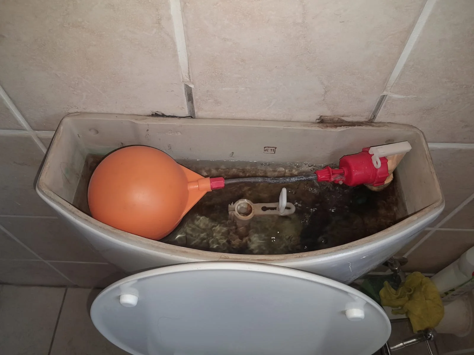 Professional leaking toilet work in Sandown