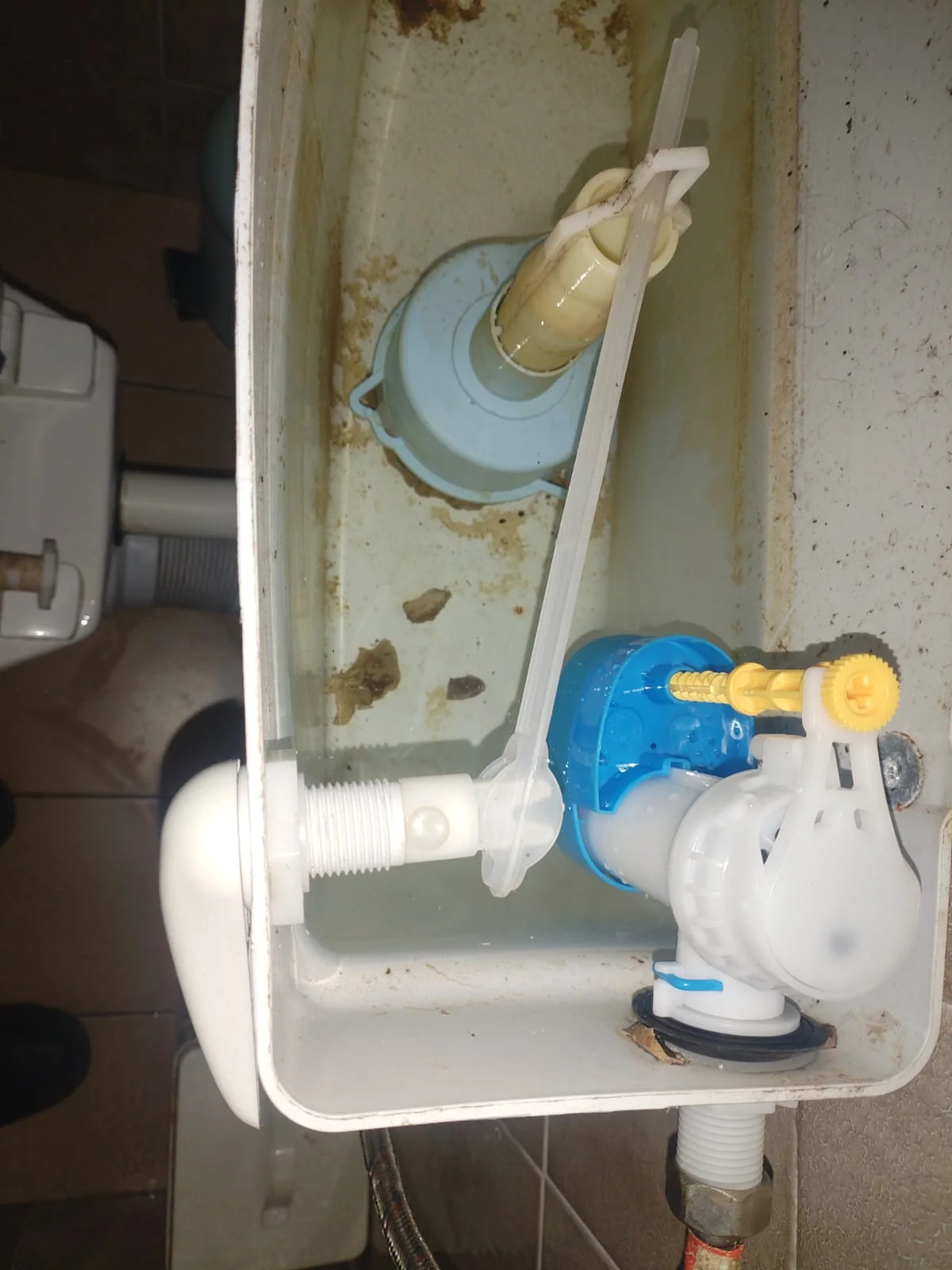 Sinoville leaking toilet repair — professional plumbing