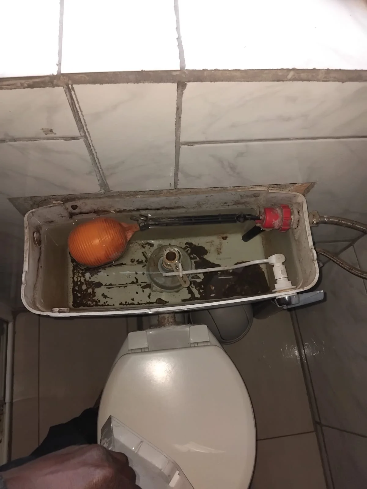 Leaking Toilet Repair 