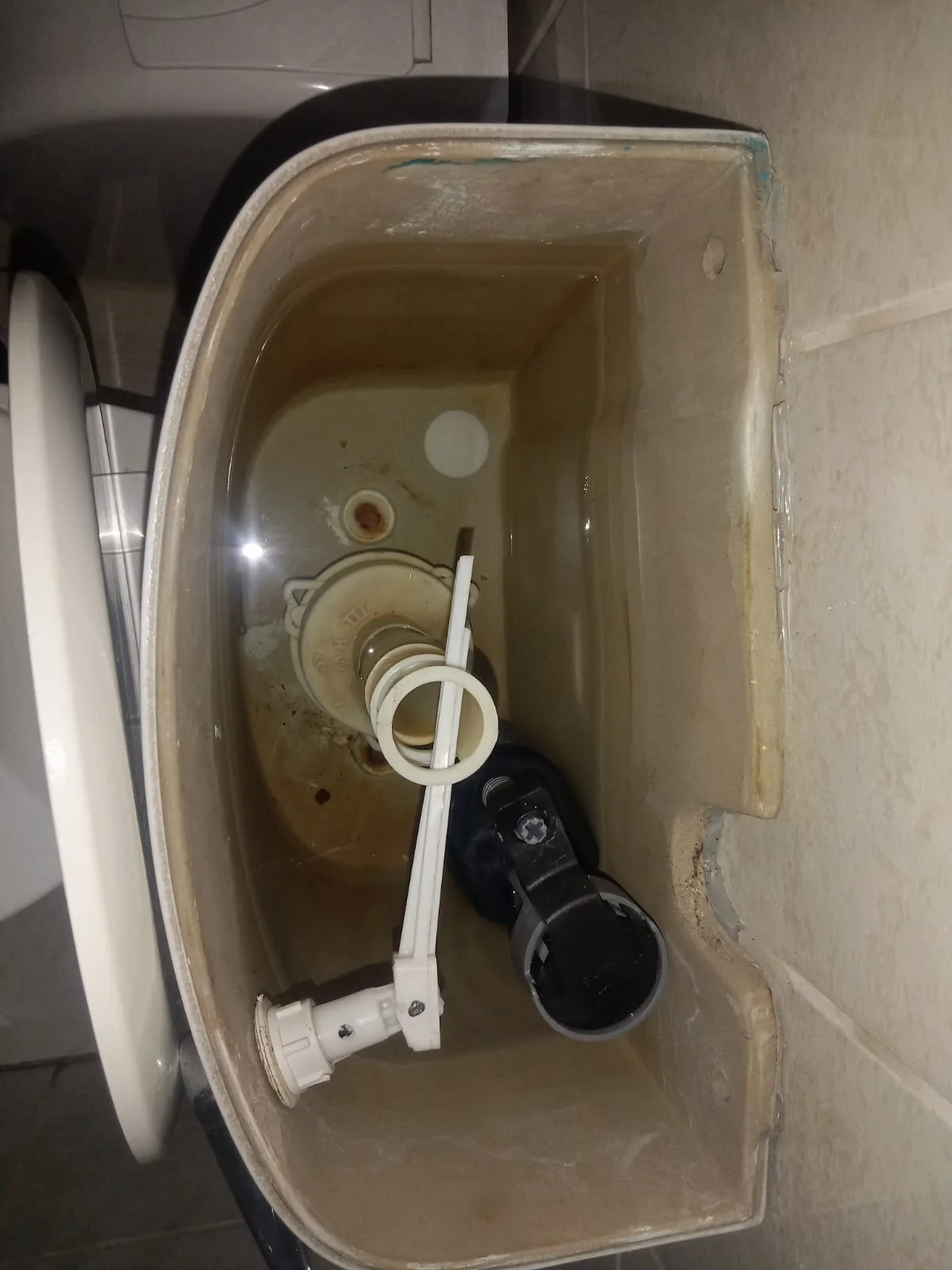 Professional leaking toilet work in The Village
