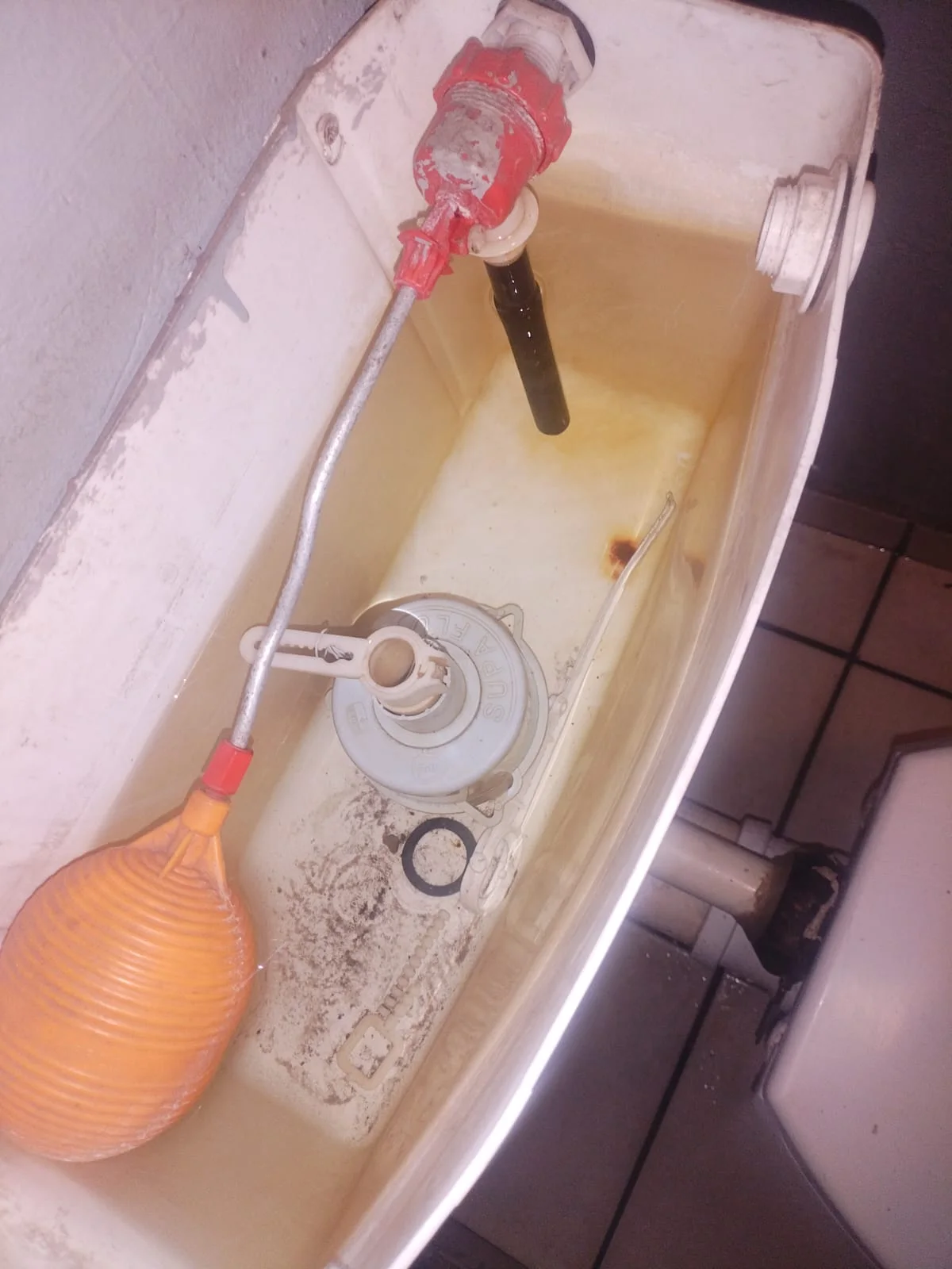 Faulty toilet flush mechanism in Waltloo