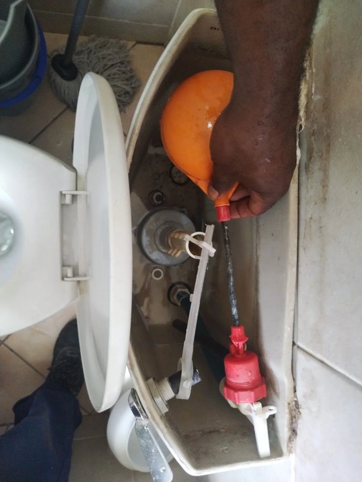 Professional leaking toilet work in Waterkloof