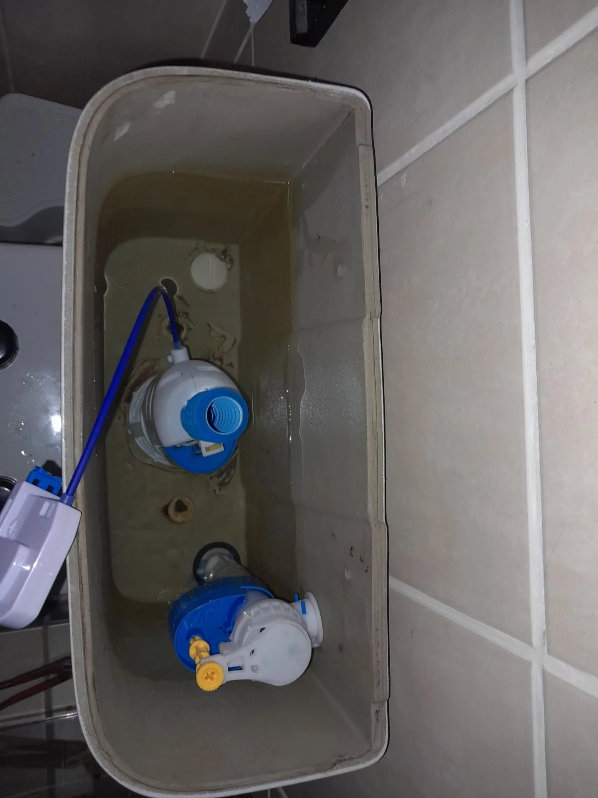 Faulty toilet flush waverly