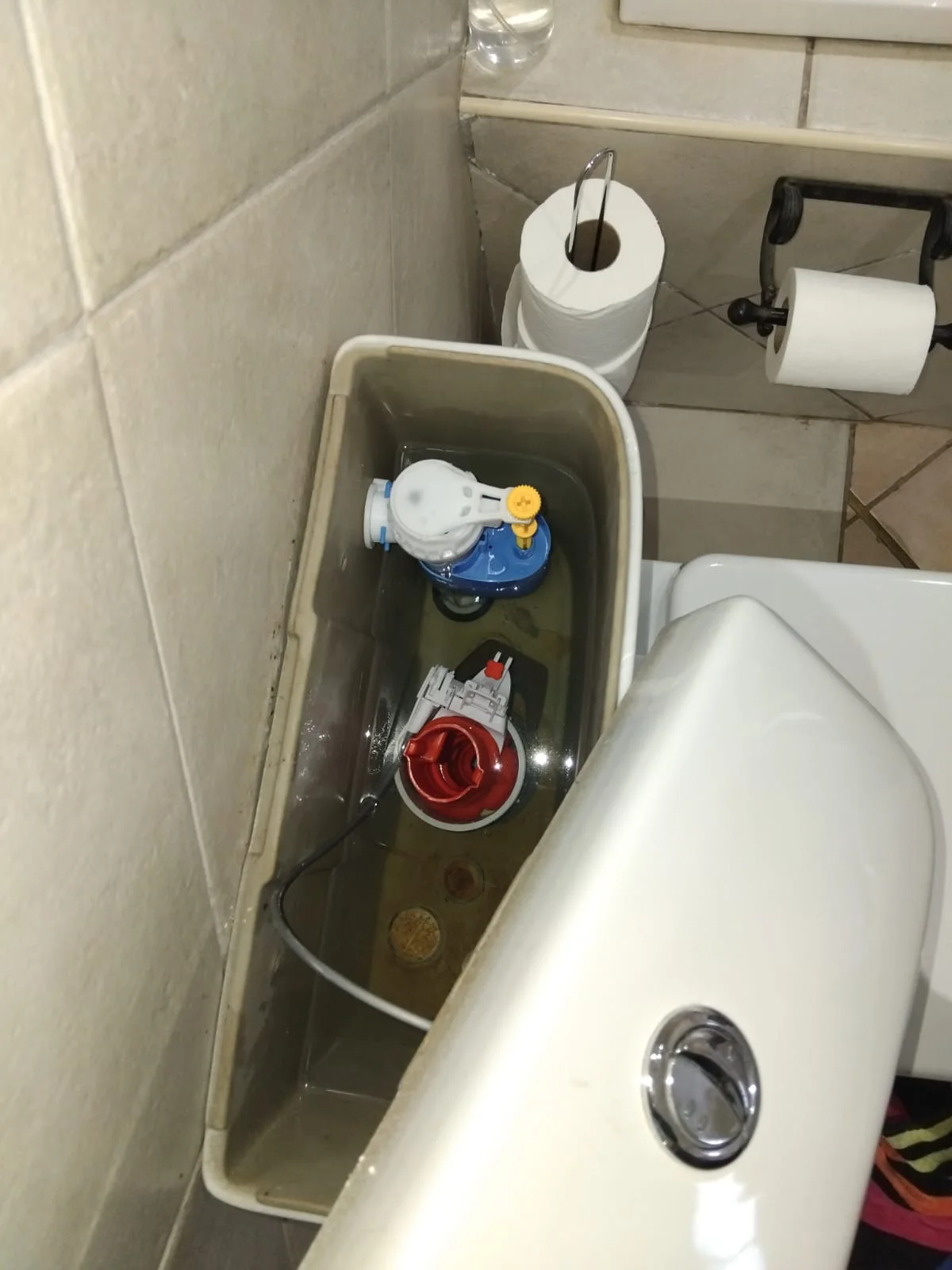 Professional leaking toilet work in Wespark