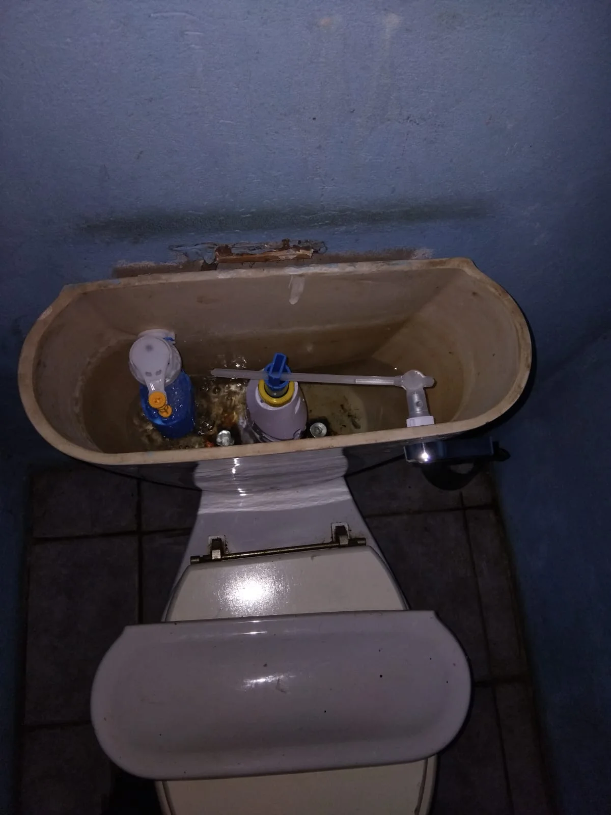 Professional leaking toilet work in Westdene
