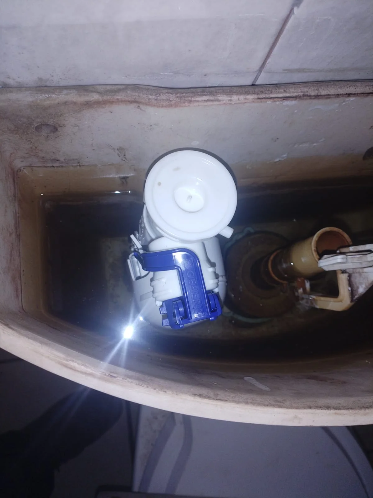 Leaking Toilet Repair 