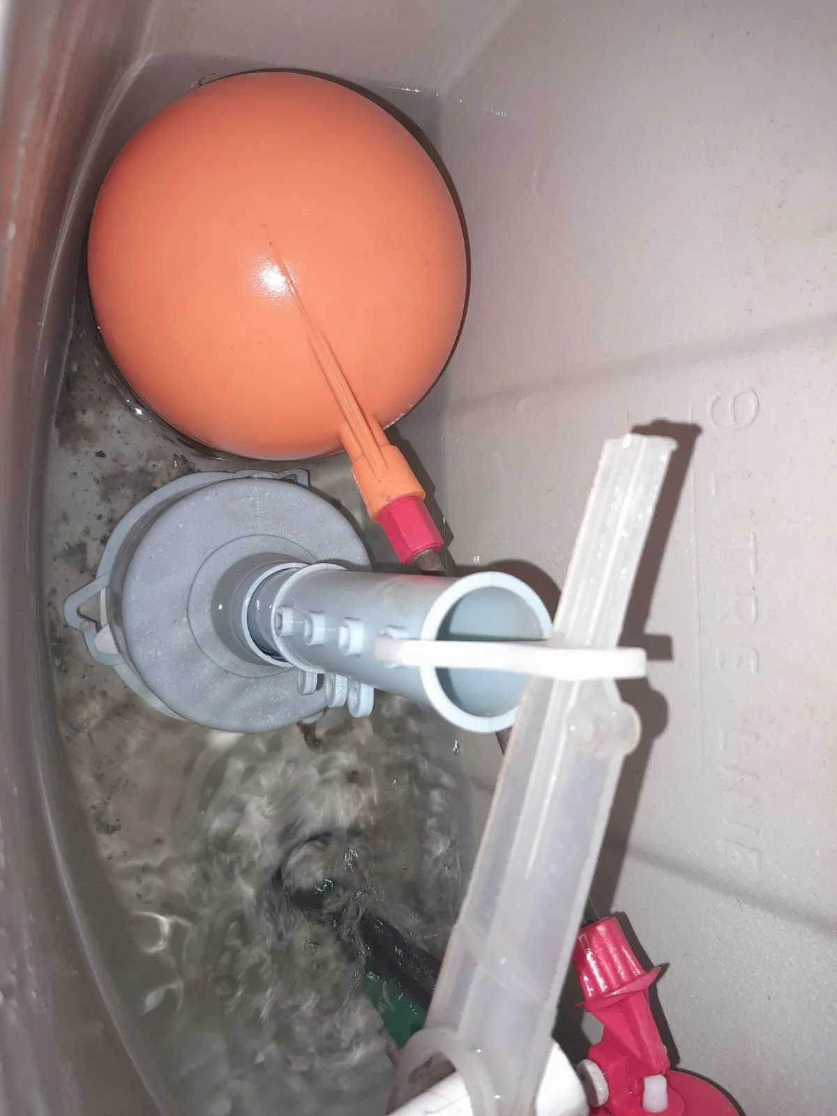 Professional leaking toilet work in Windsor
