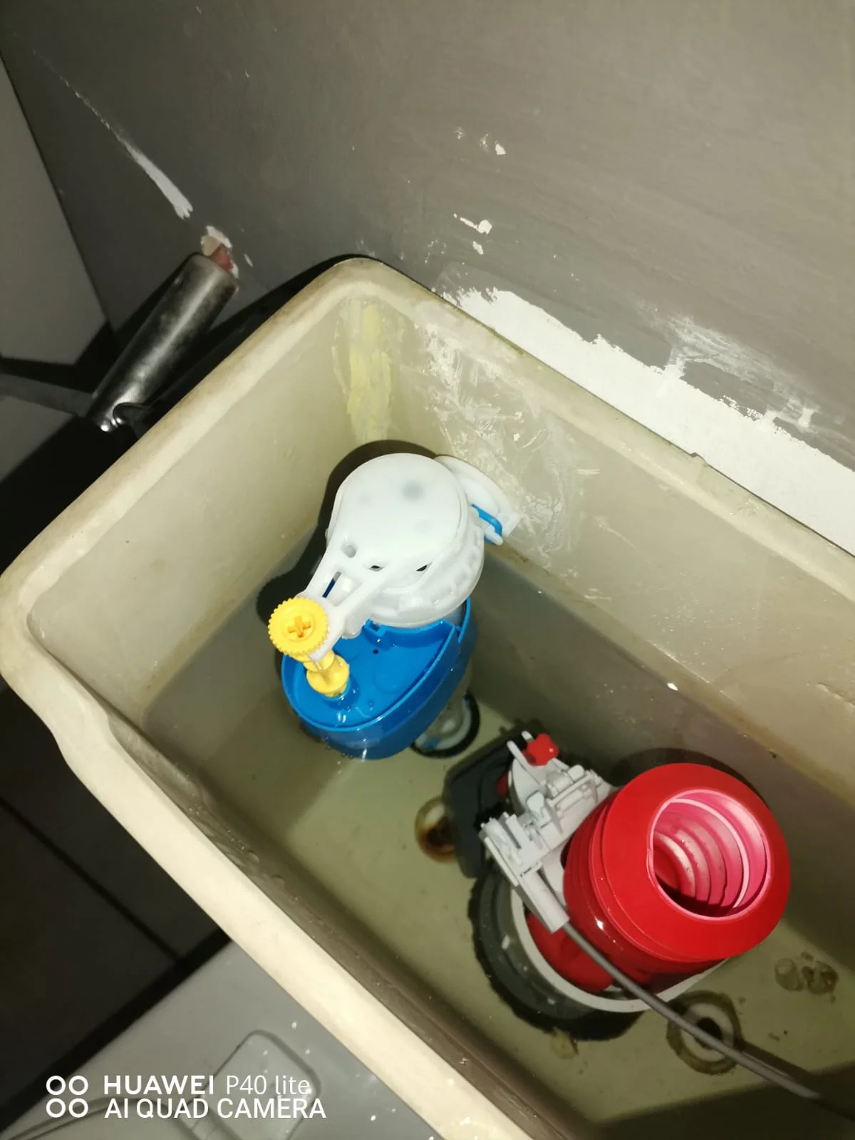 Professional leaking toilet work in Wonderboom