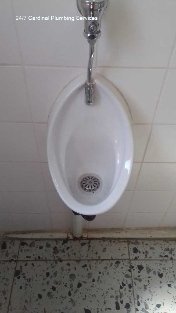 24/7 Cardinal plumbing services â€“ guaranteed all hour plumbers, pointing out solar plumbing integration, written in an informative tone, delivering expert plumbing repairs and installations for domestic houses with solar company support.