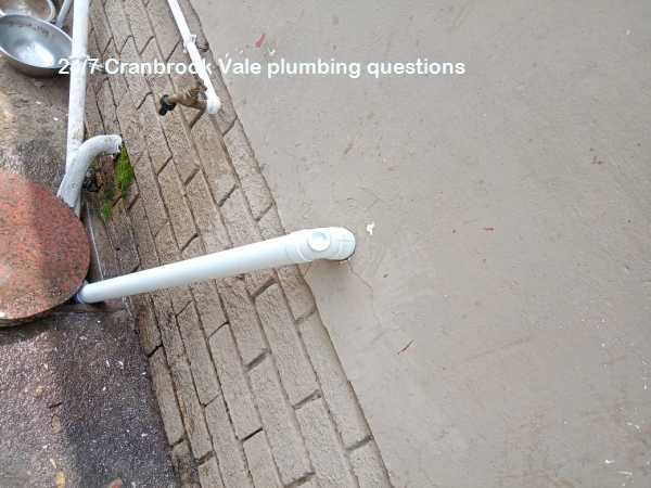 Plumbing issues can strike anytime. Our Q&A on 24/7 Cranbrook Vale plumbing services explains when to call a professional and what to expect.
