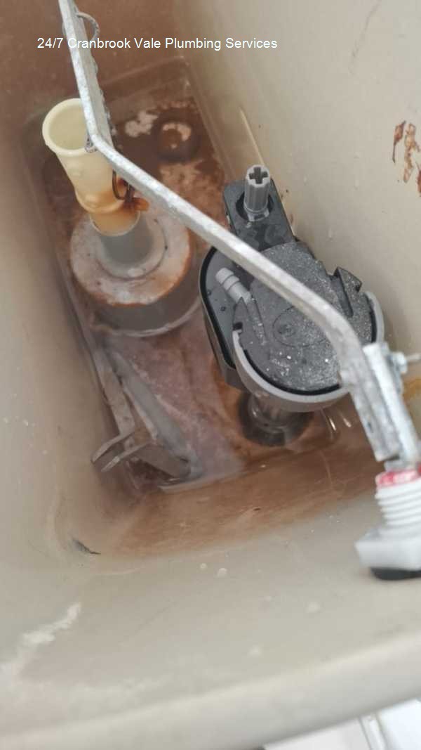 24/7 Cranbrook Vale plumbing services â€“ urgent plumbing services 24/7, focusing on fast response times, positioned as a technical highlight, delivering expert plumbing repairs and installations for domestic houses with solar company support.