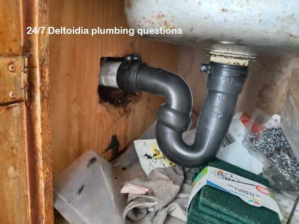 Not sure if you need an emergency plumber? Our Deltoidia 24/7 plumbers Q&A answers common domestic plumbing concerns for your peace of mind.