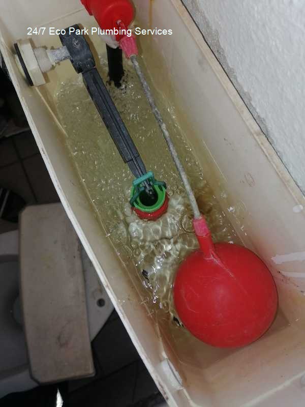 24/7 Eco Park plumbing services â€“ weekend plumbers near me, highlighting technical reliability, framed as a sales pitch, delivering expert plumbing repairs and installations for domestic houses with solar company support.