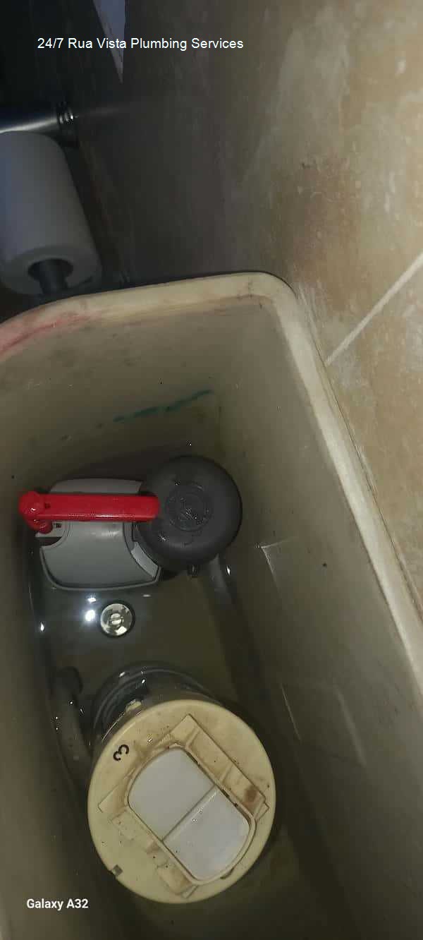 24/7 Rua Vista plumbing services â€“ same day 24/7 plumber, highlighting technical reliability, written in an informative tone, delivering expert plumbing repairs and installations for domestic houses with solar company support.