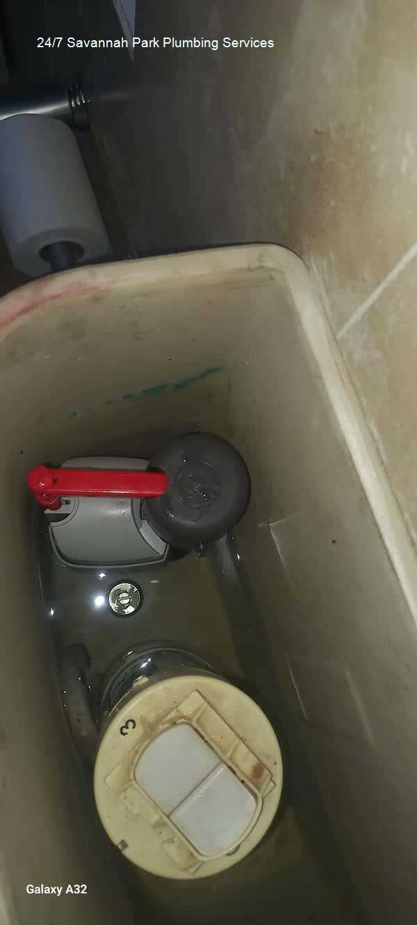 24/7 Savannah Park plumbing services â€“ plumbers available anytime, pointing out solar plumbing integration, crafted as a bold statement, delivering expert plumbing repairs and installations for domestic houses with solar company support.